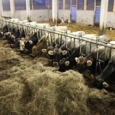 Holiday home Faesch By Interhome Flumserberg