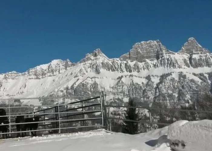 Faesch By Interhome Holiday home *