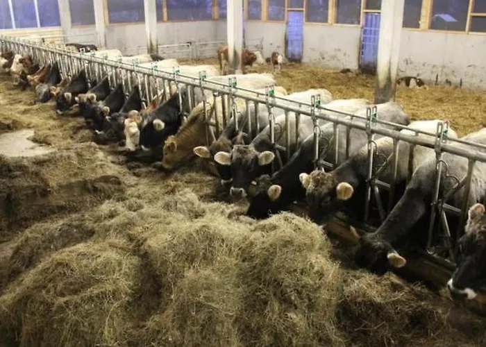 Holiday home Faesch By Interhome Flumserberg